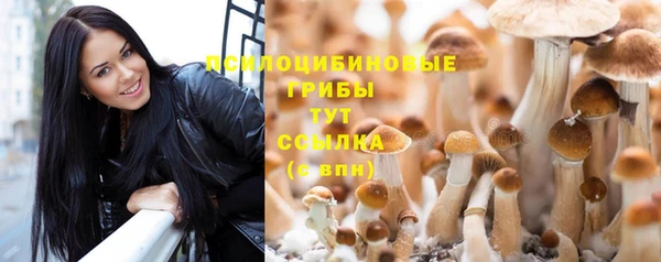 шишки Магадан