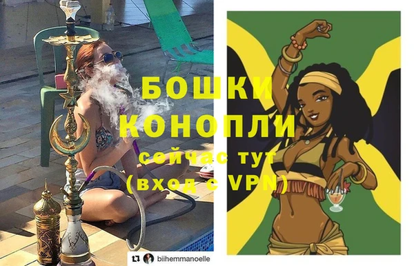 трава Магас