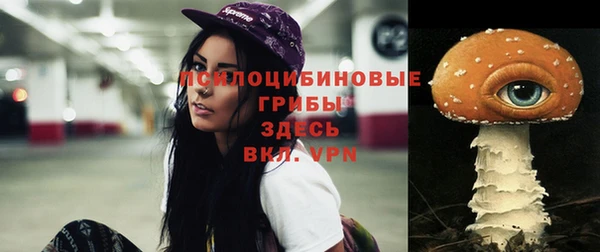 шишки Магадан