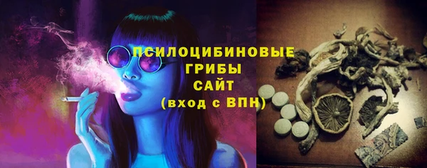 шишки Магадан