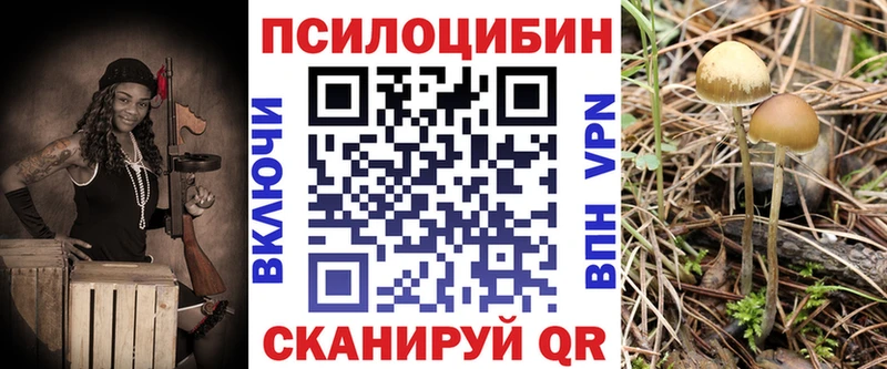 Купить  Малоархангельск  Галлюциногенные грибы прущие грибы 